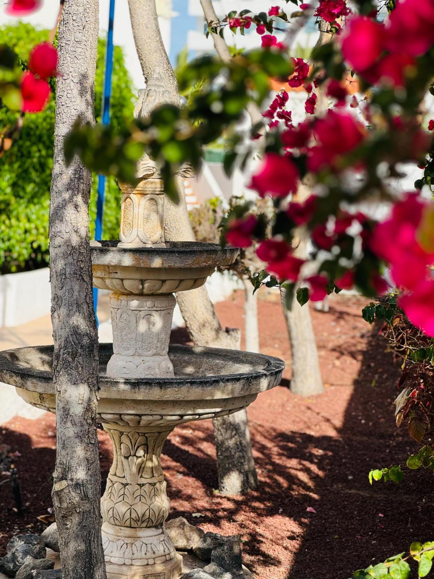Garden City Private Apartment Costa Adeje Playa Fanabe Exterior photo